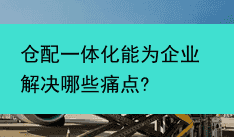 仓配一体化能为企业解决哪些痛点?