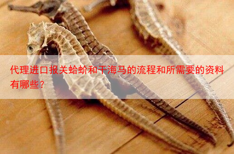 代理进口报关蛤蚧和干海马的流程和所需要的资料有哪些?